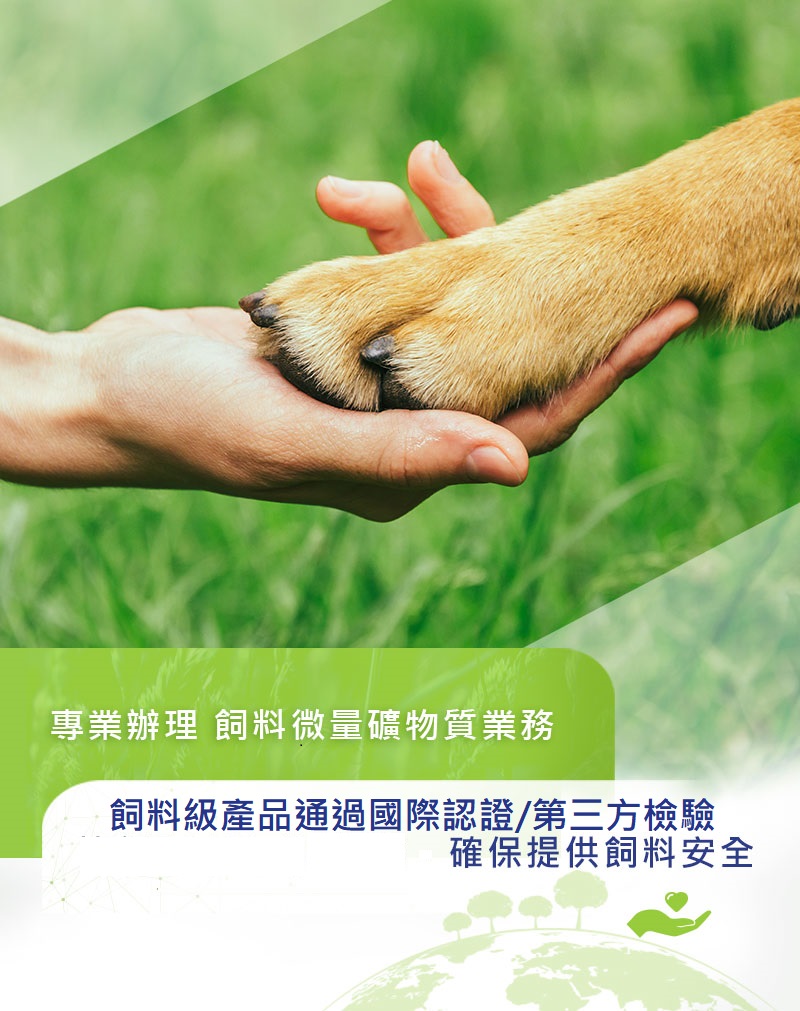 美嘉有限公司