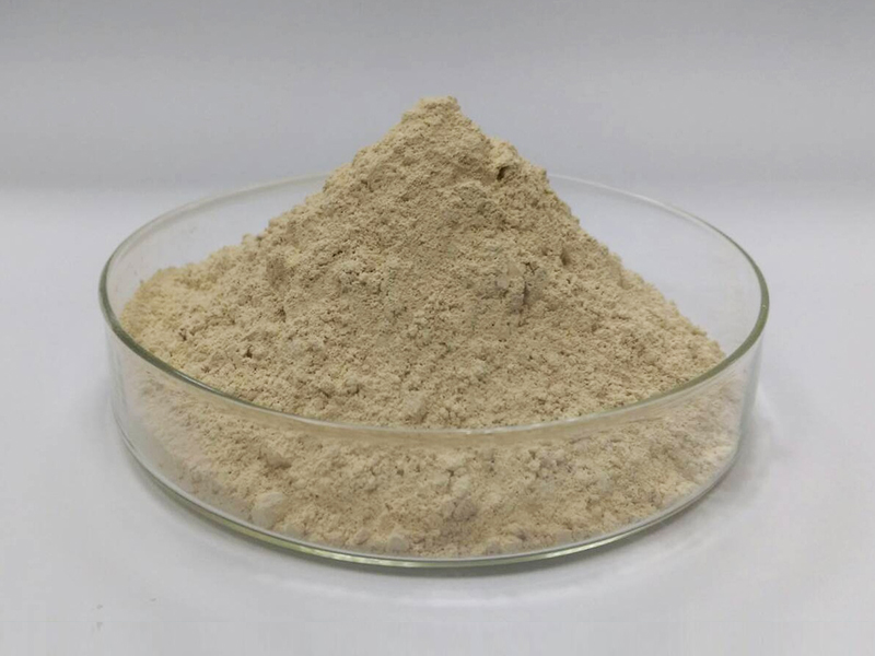 Feed Grade Magnesium Oxide Powder