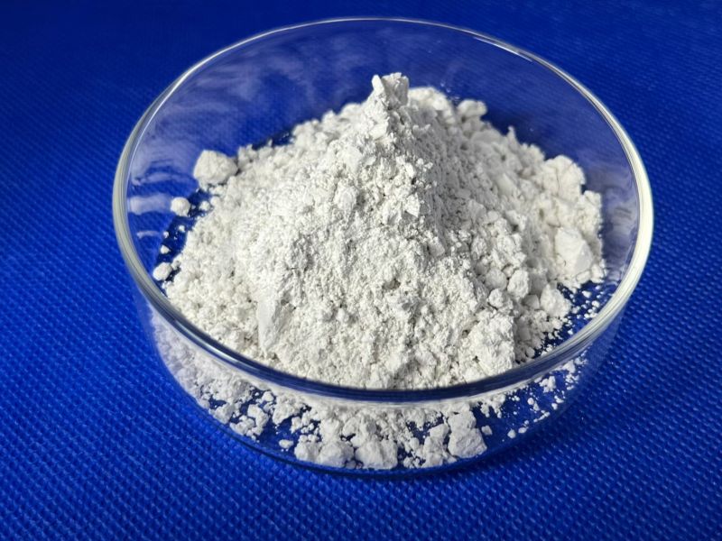 礦物質補助飼料 飼料級碳酸鈣(粉末)